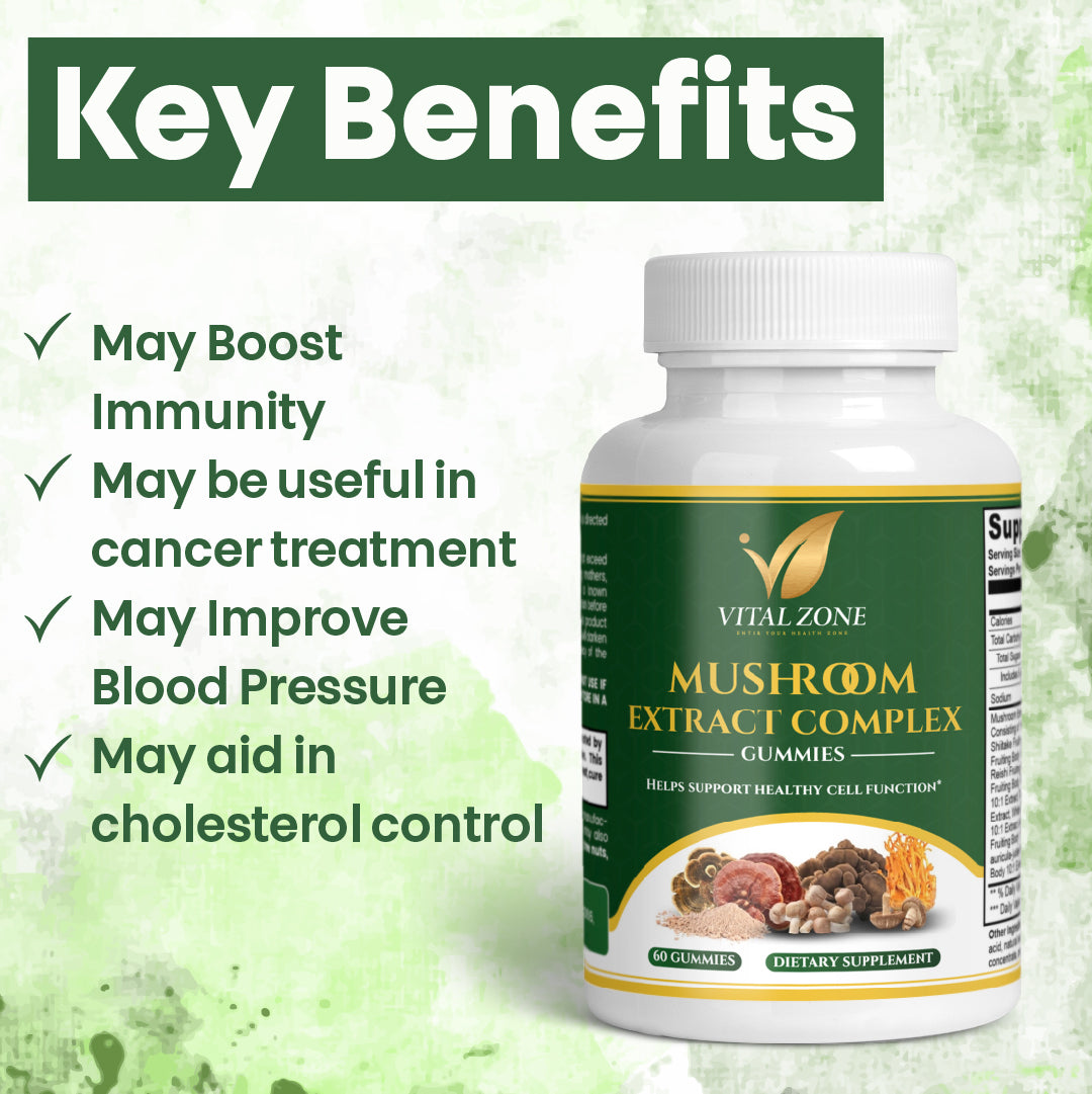 Vital Zone | Mushroom Extract + Energy & Immune Complex