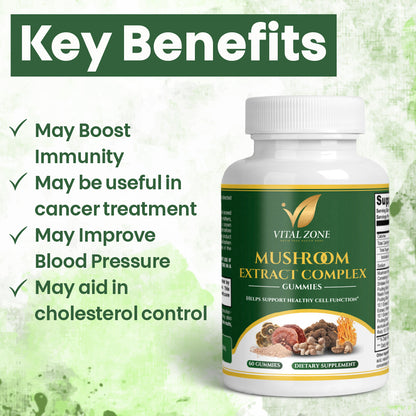 Vital Zone | Mushroom Extract + Energy & Immune Complex