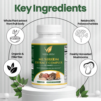 Vital Zone | Mushroom Extract + Energy & Immune Complex