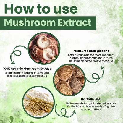 Vital Zone | Mushroom Extract + Energy & Immune Complex